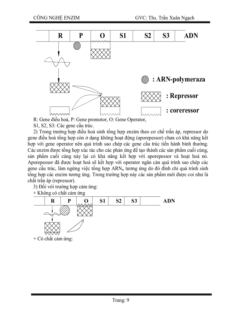 image for page Công Nghệ Enzim