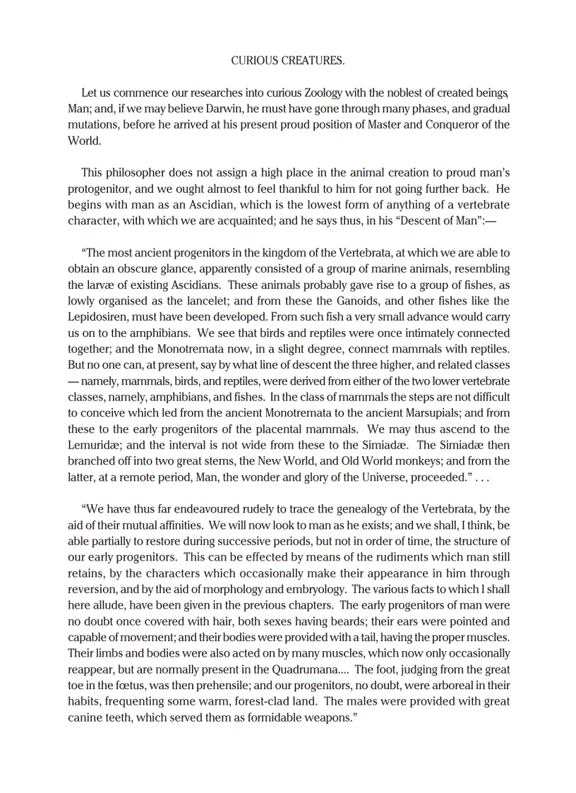 image for page Curious Creatures in Zoology