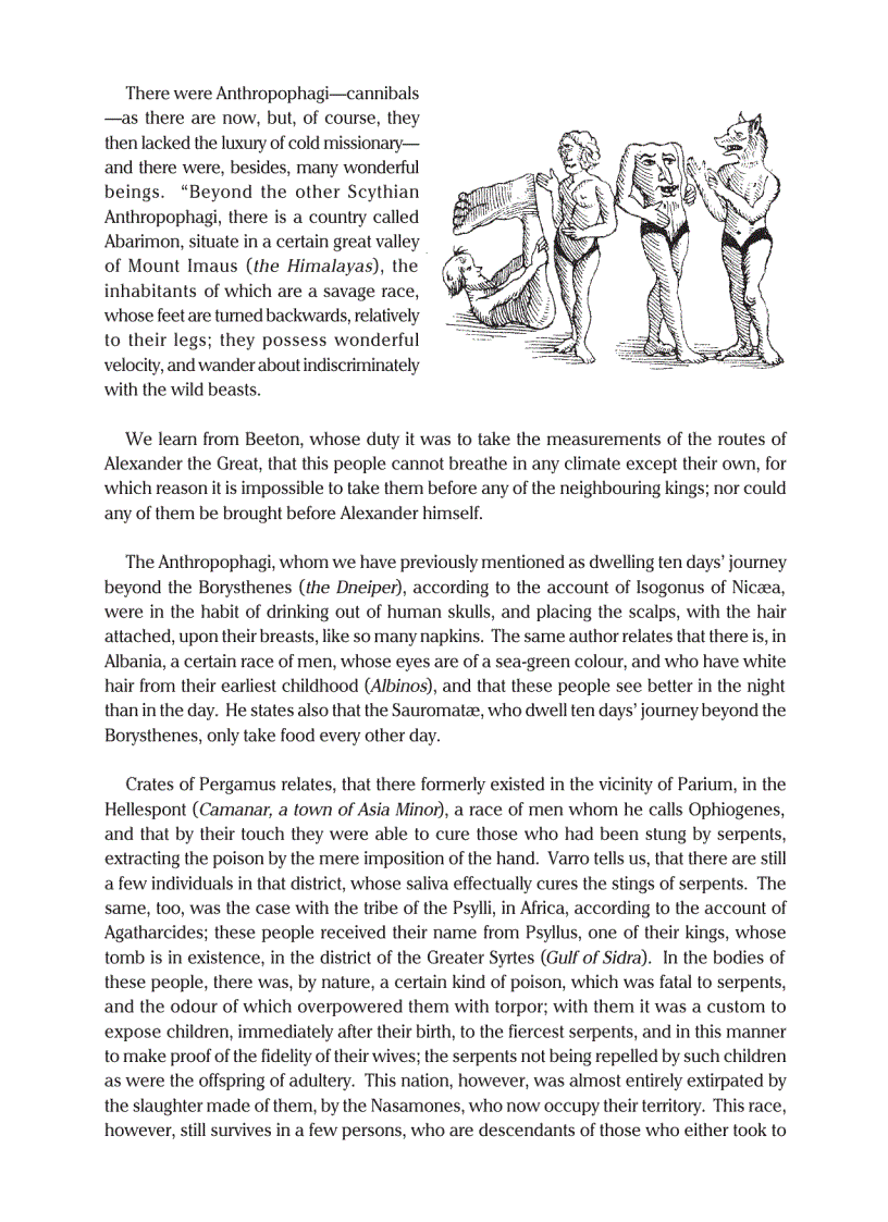 image for page Curious Creatures in Zoology