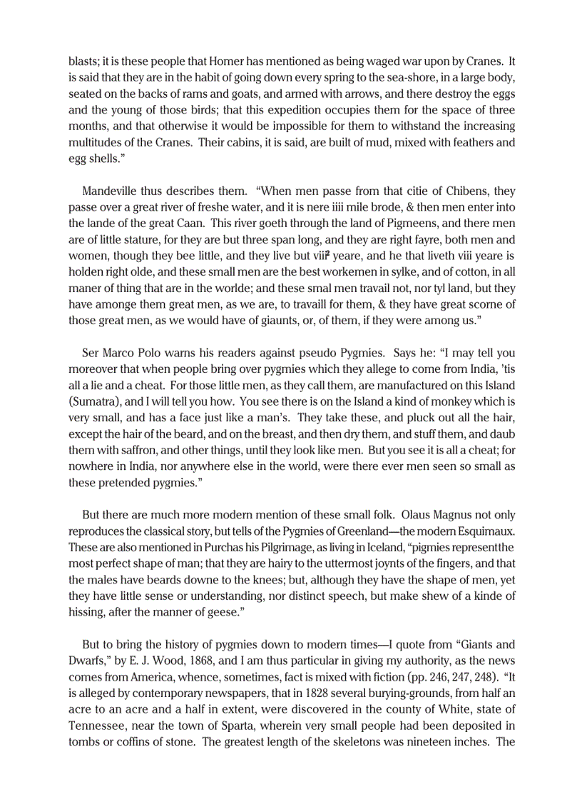 image for page Curious Creatures in Zoology