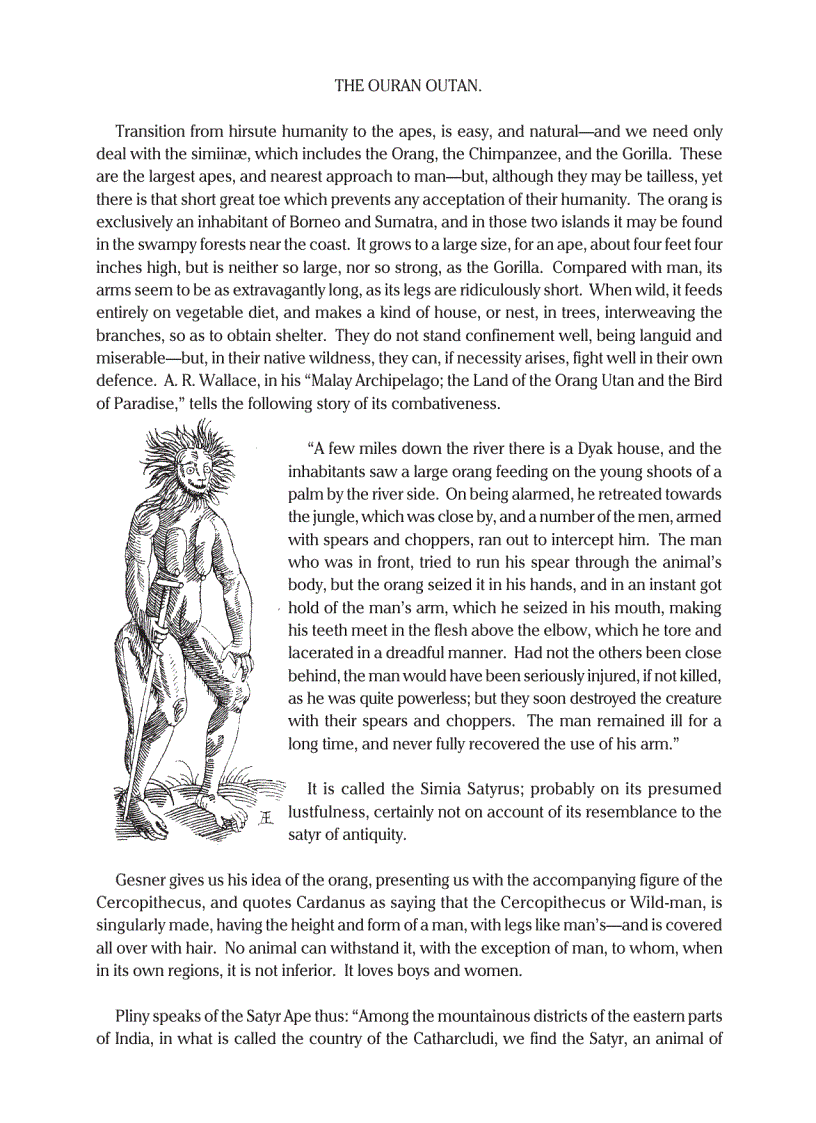 image for page Curious Creatures in Zoology