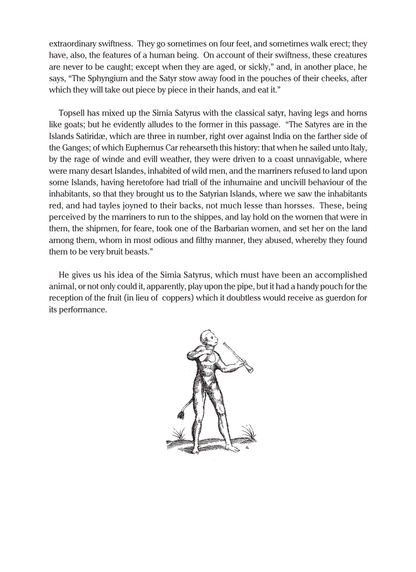 image for page Curious Creatures in Zoology