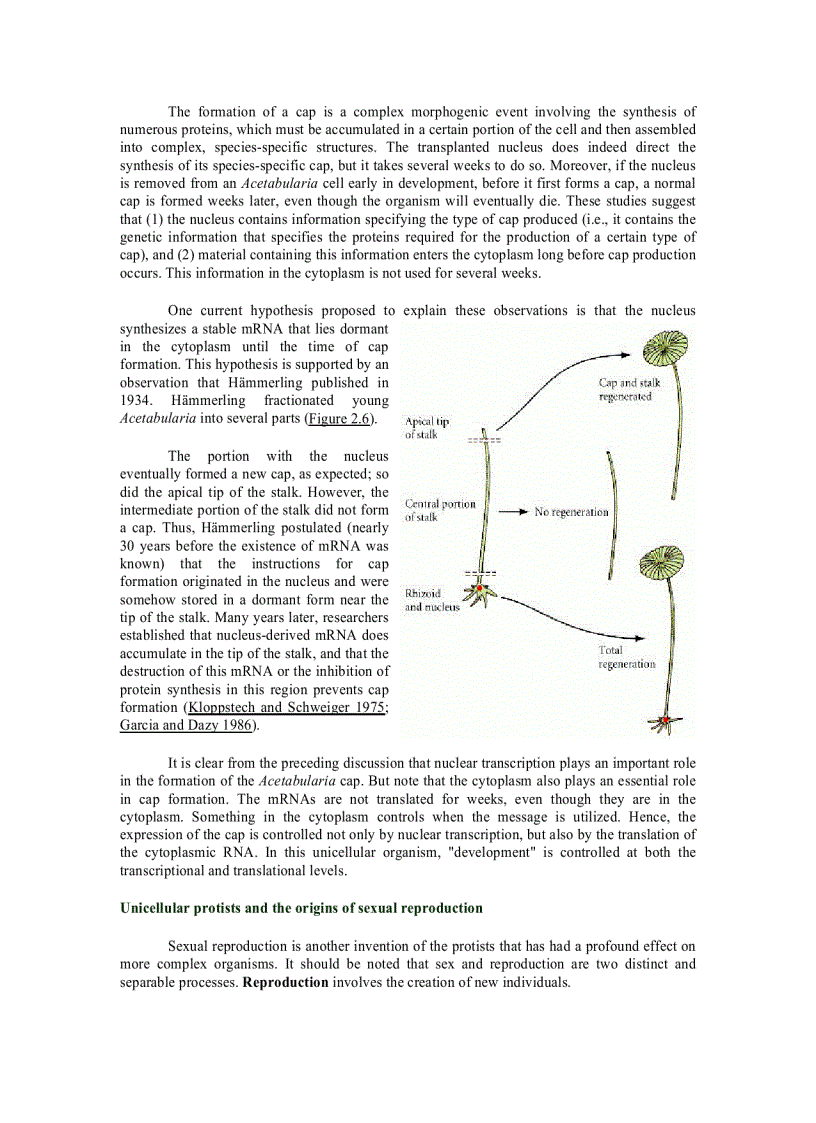 image for page Developmental Biology 6th Ed