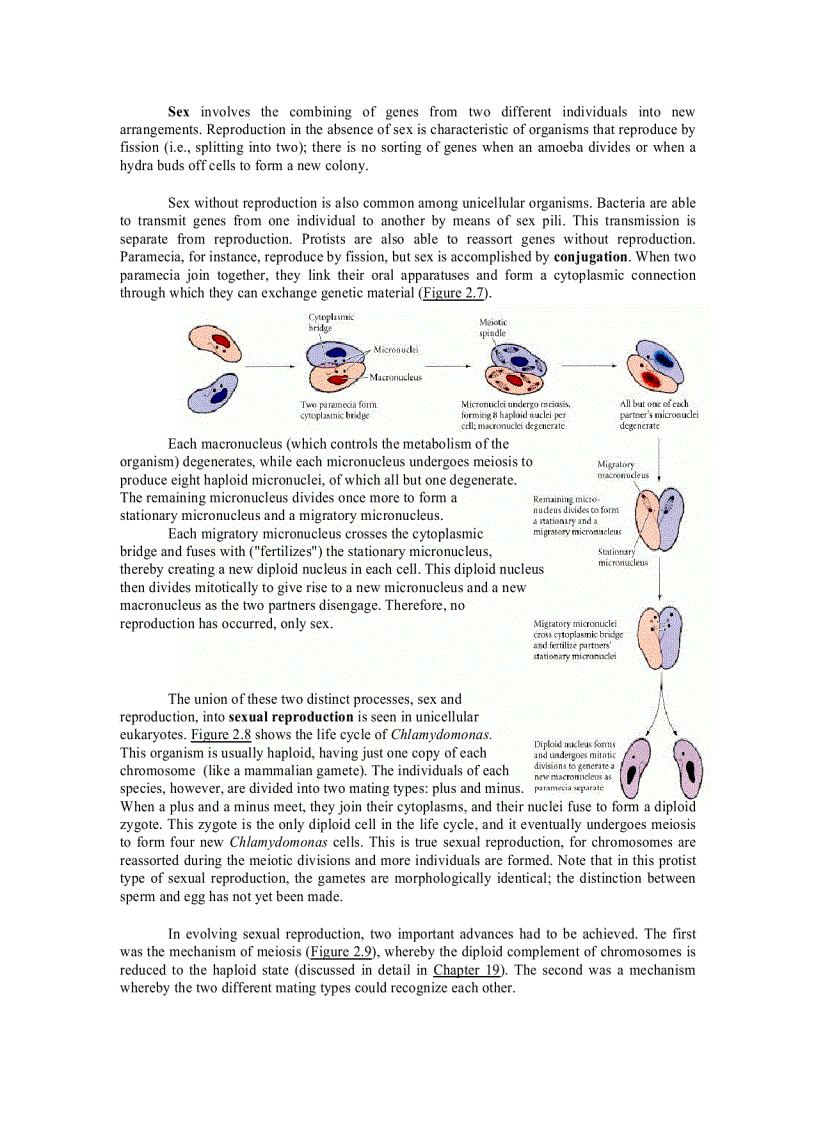 image for page Developmental Biology 6th Ed
