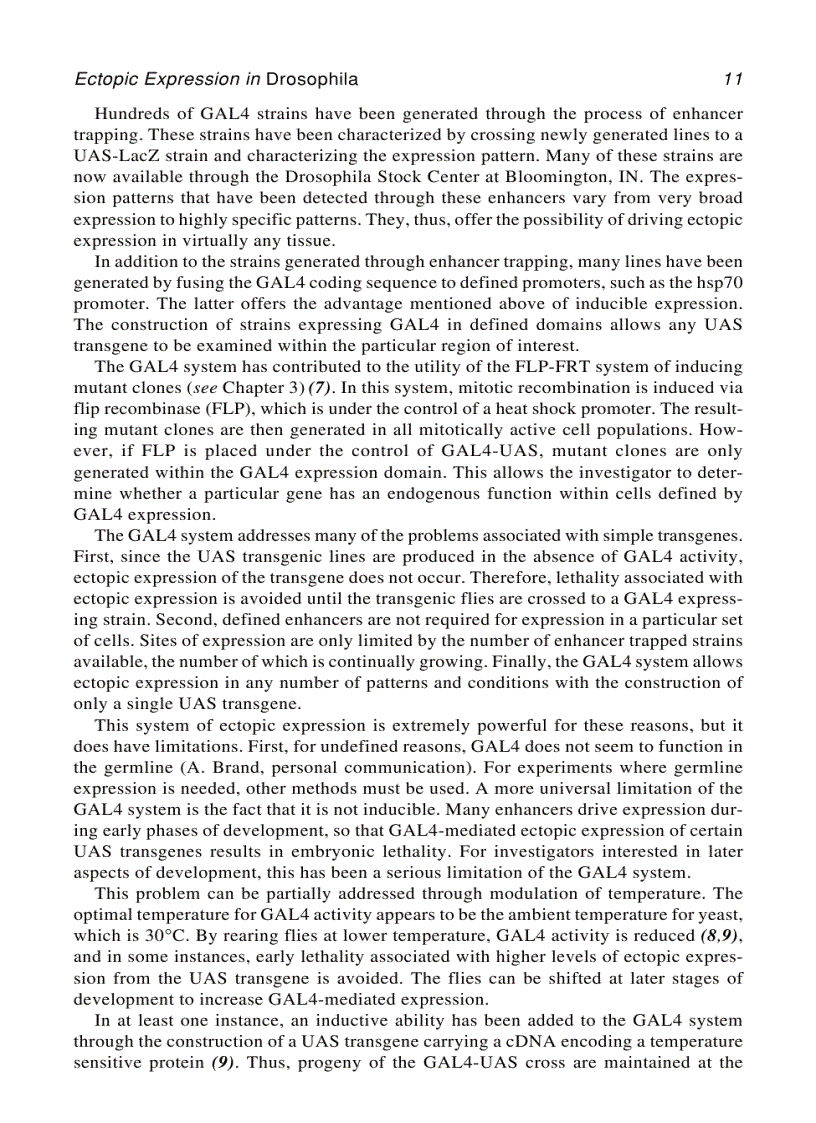 image for page Developmental biology protocols