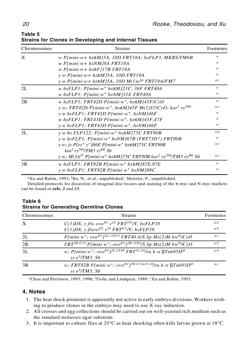 image for page Developmental biology protocols