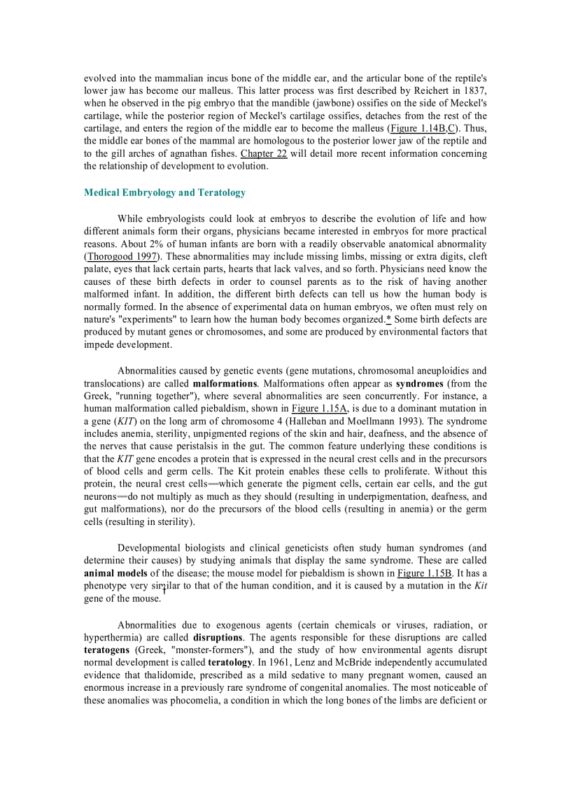 image for page Developmental Biology