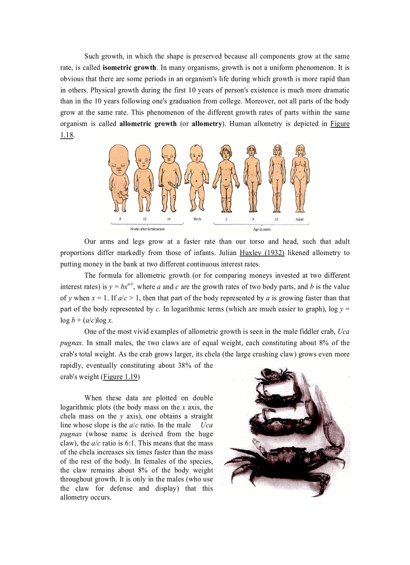 image for page Developmental Biology