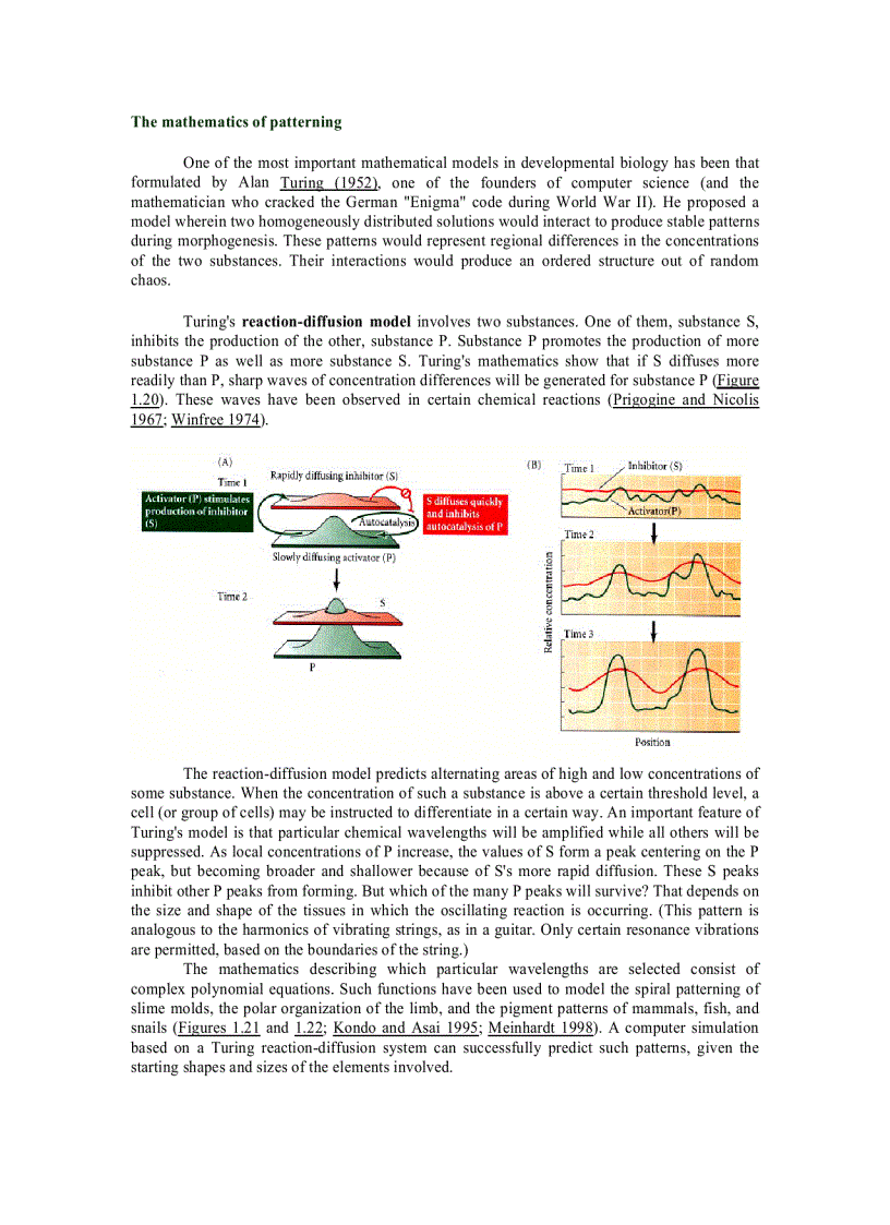 image for page Developmental Biology