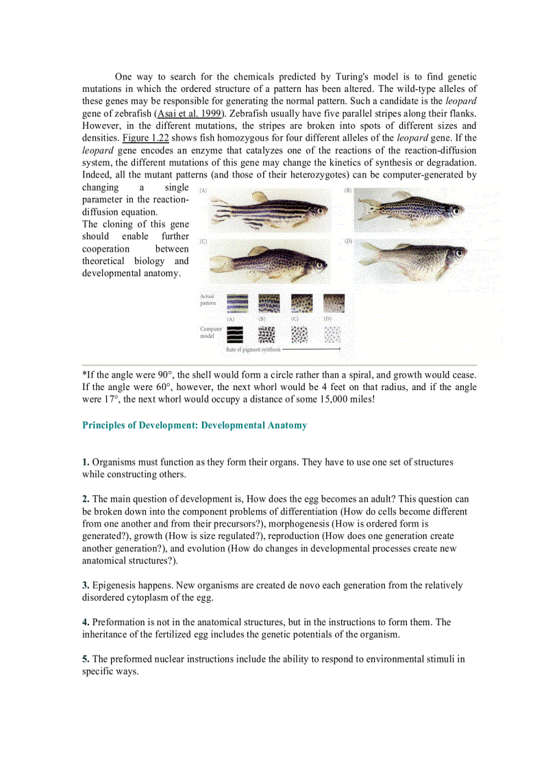image for page Developmental Biology