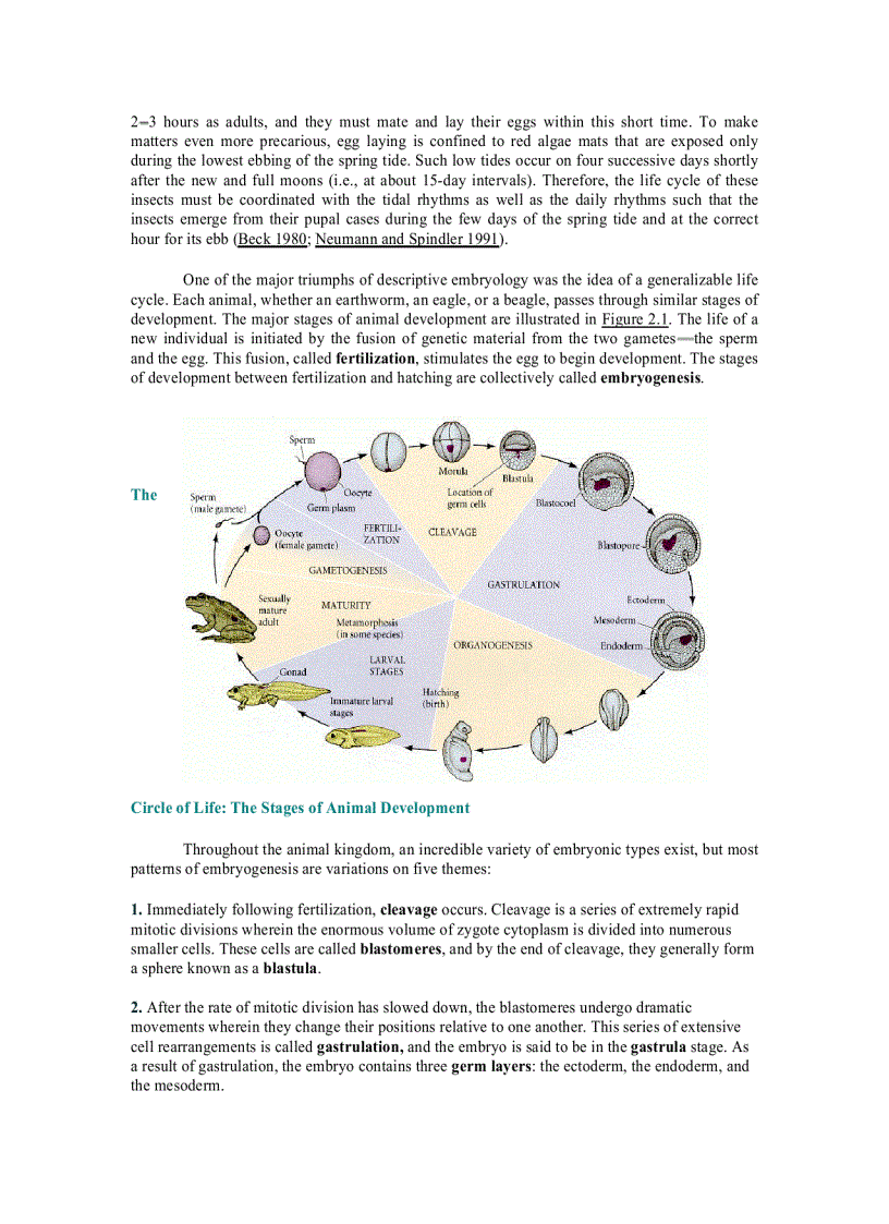 image for page Developmental Biology