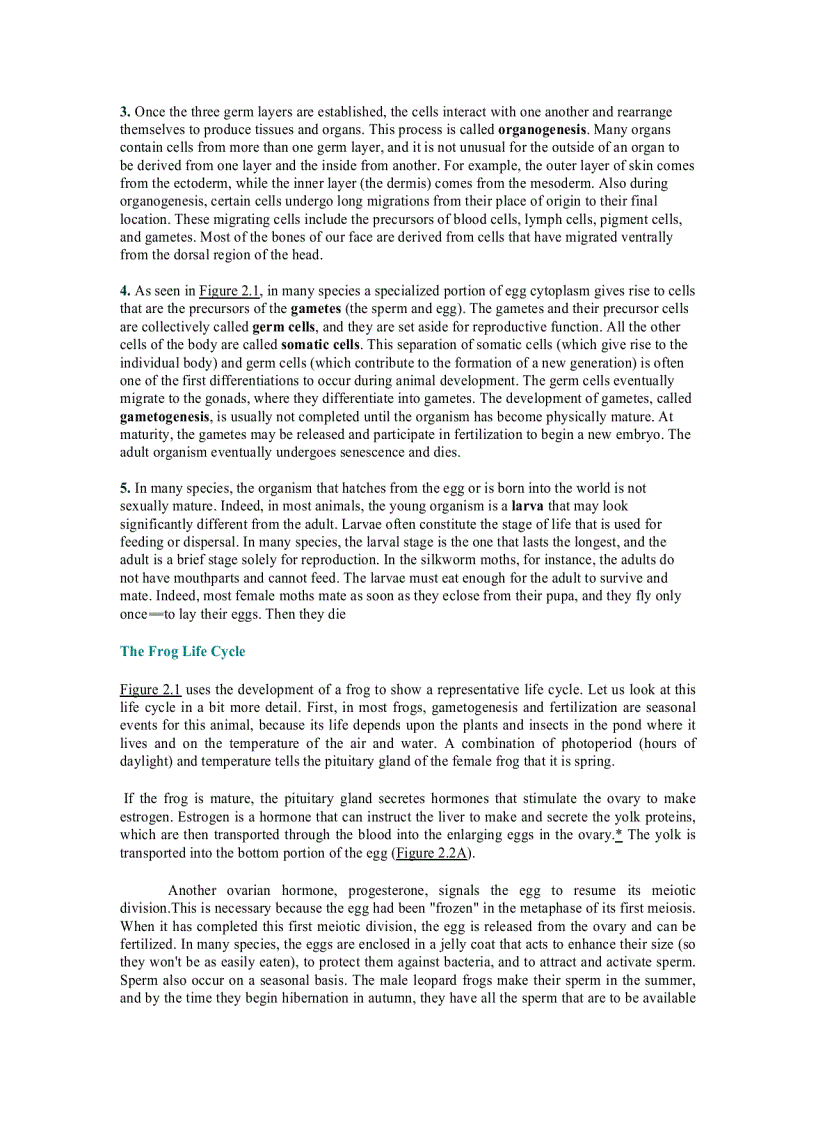 image for page Developmental Biology