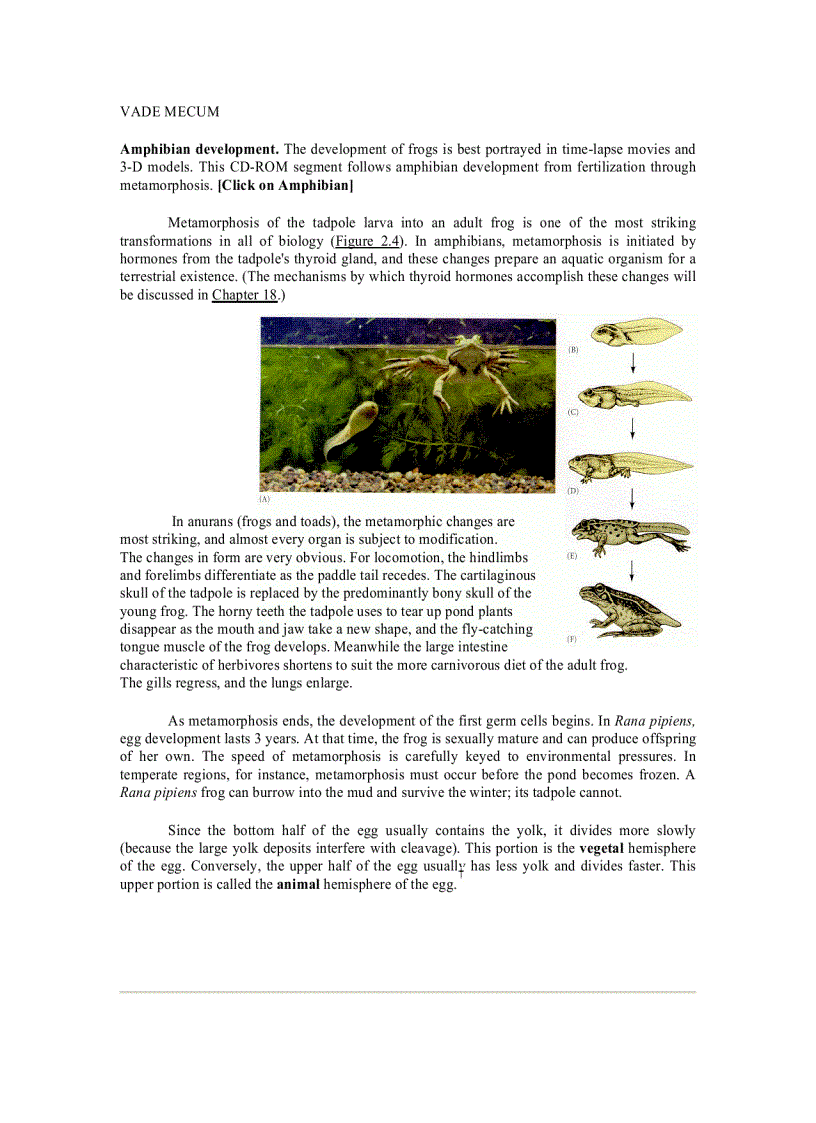 image for page Developmental Biology