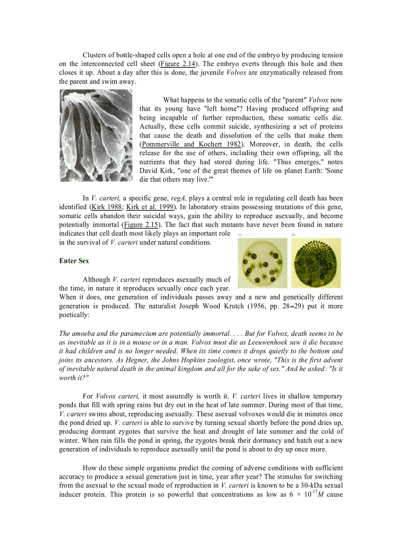 image for page Developmental Biology