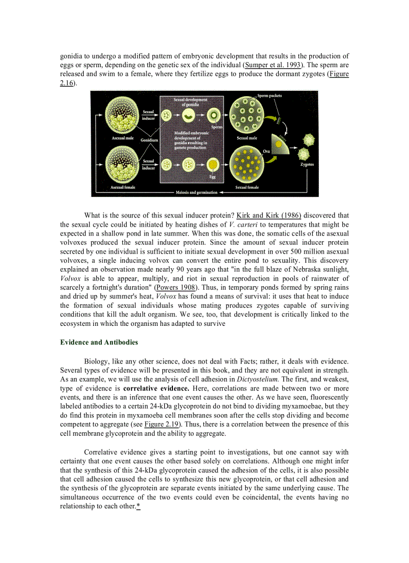 image for page Developmental Biology