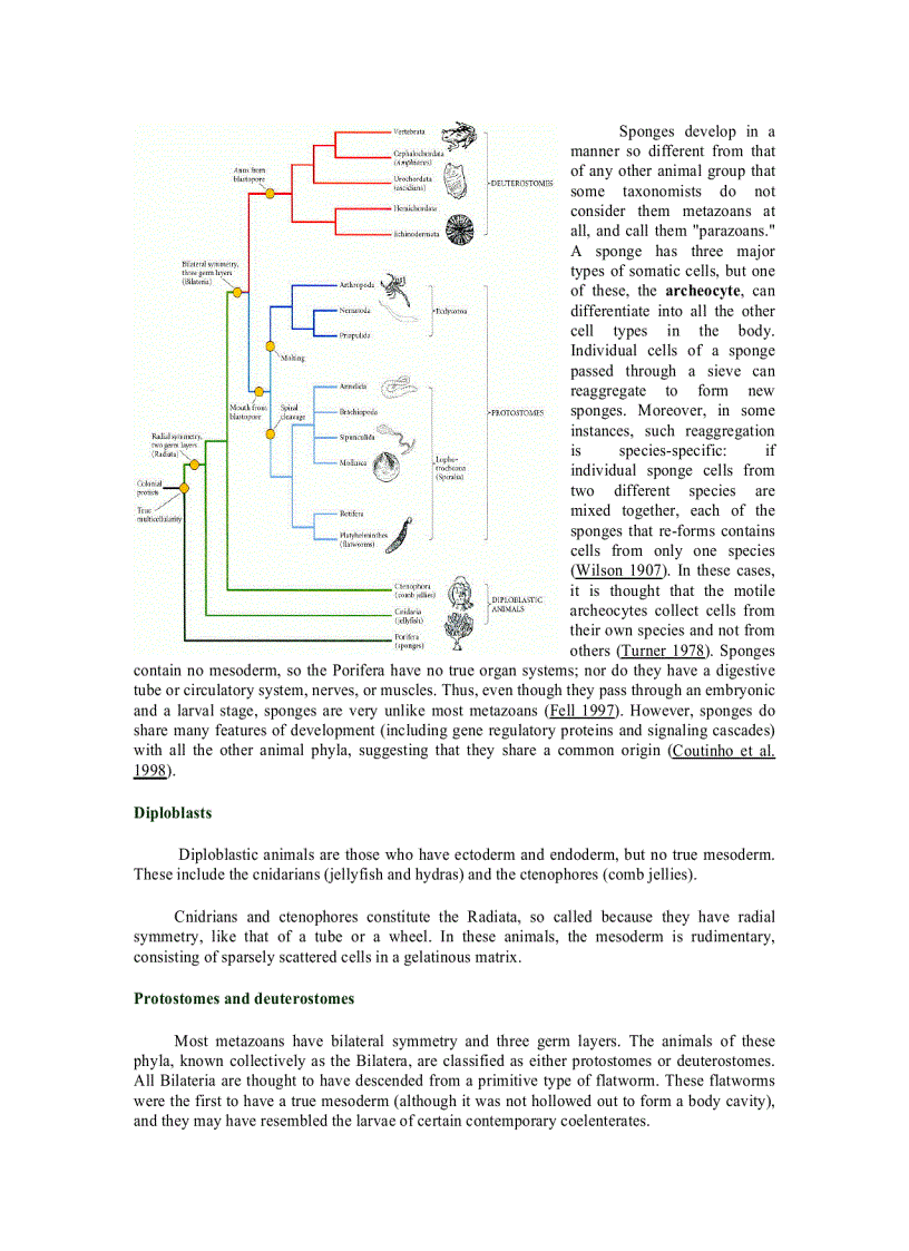 image for page Developmental Biology