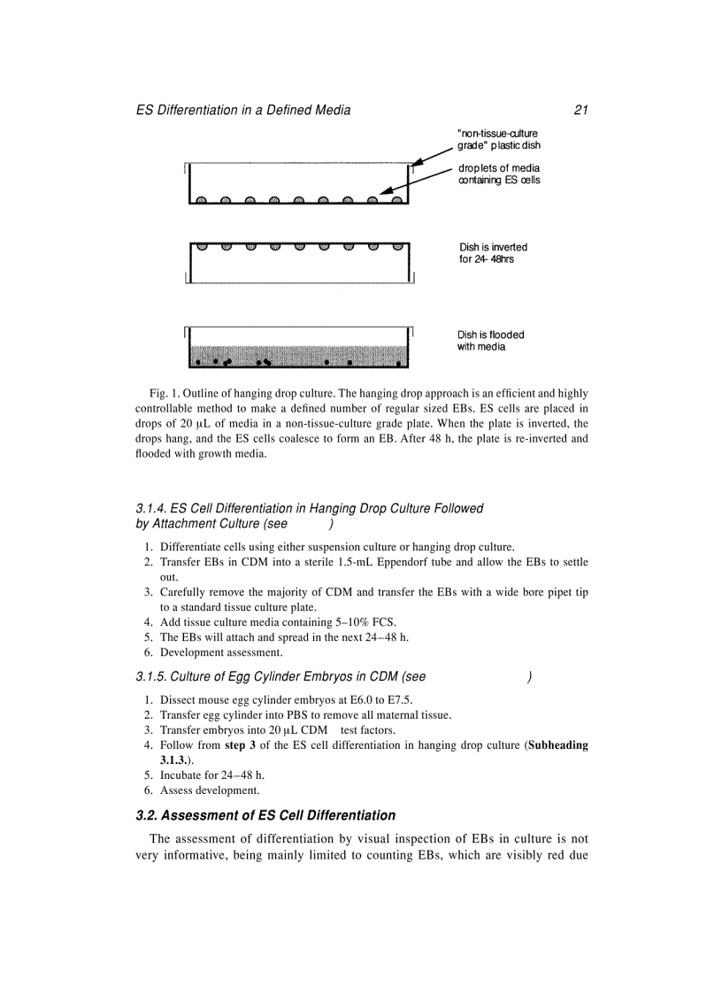 image for page Embryonic Stem Cells Methods And Protocols