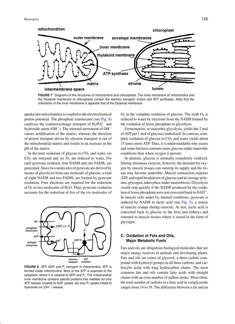 image for page Encyclopedia of Physical Science and Technology Biochemistry 3rd Ed