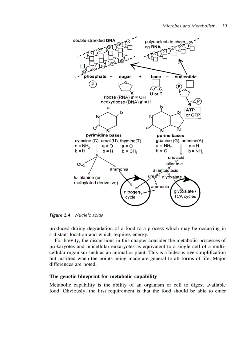 image for page Environmental Biotechnology Principles and Applications