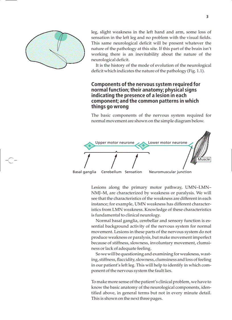 image for page Essential Neurology 4th Ed