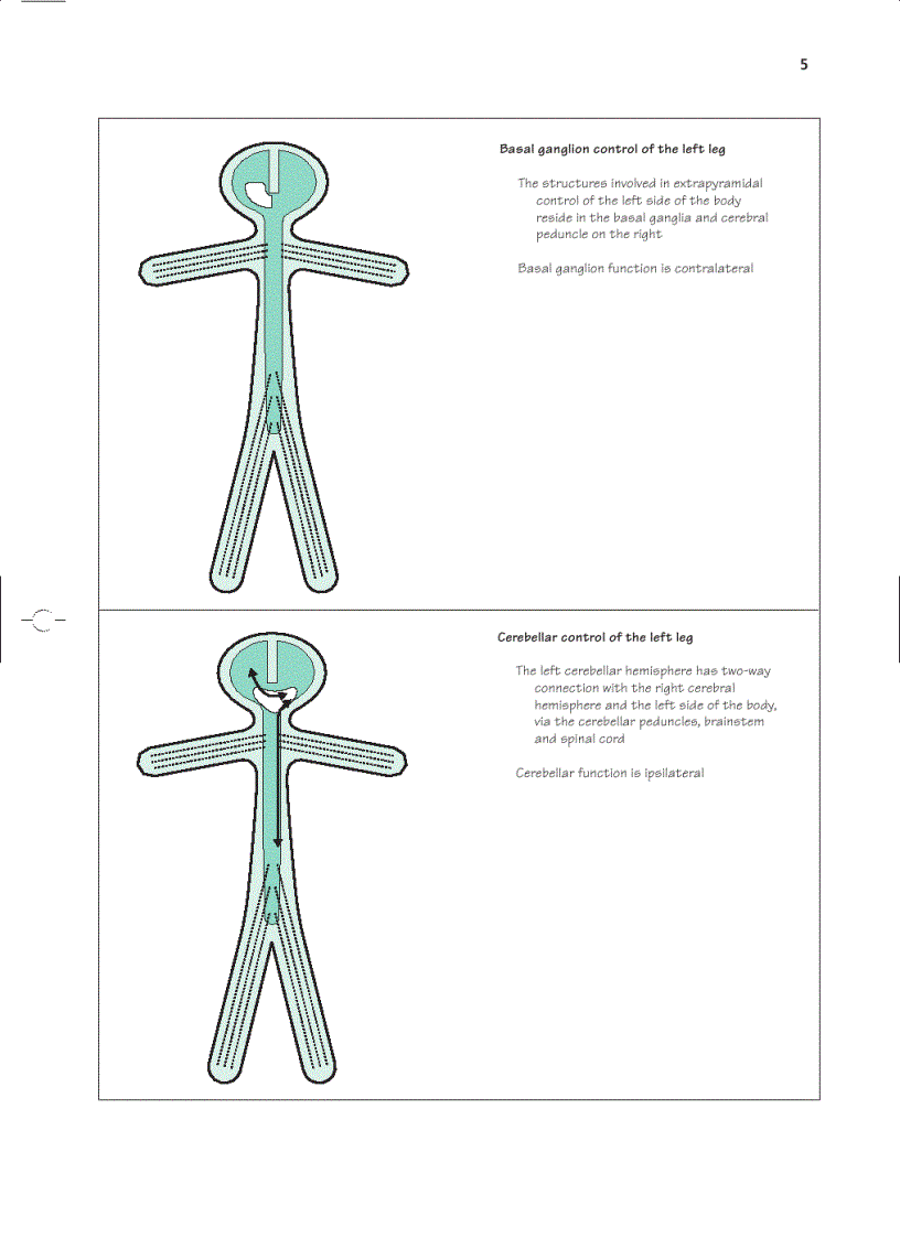 image for page Essential Neurology 4th Ed