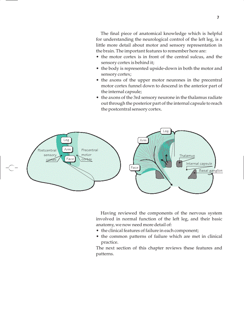 image for page Essential Neurology 4th Ed