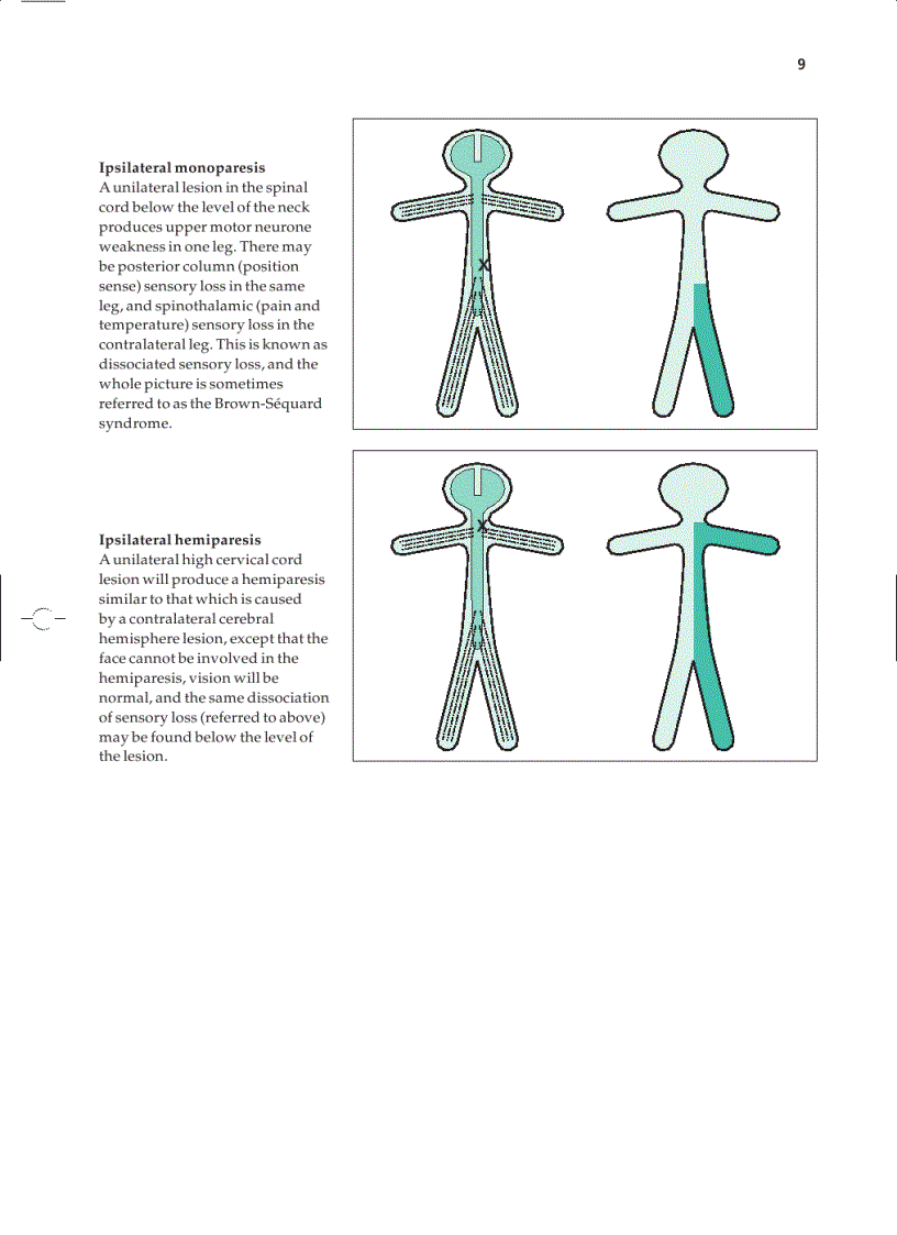 image for page Essential Neurology 4th Ed