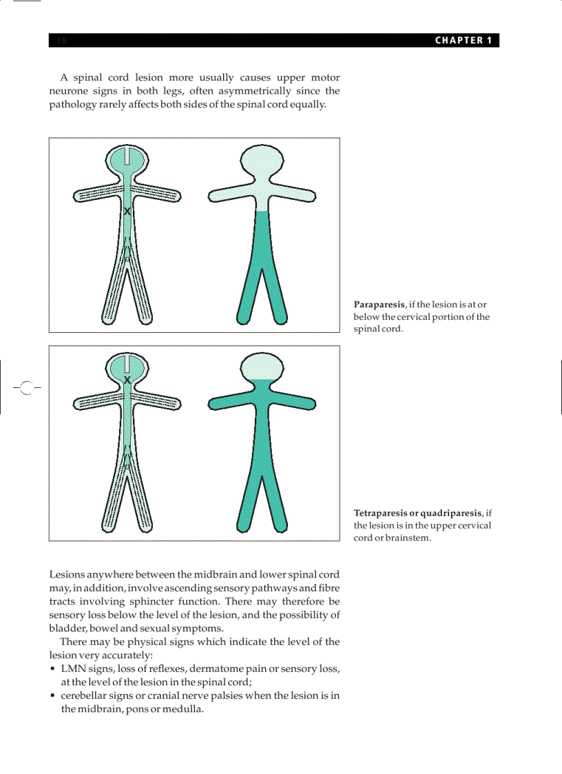 image for page Essential Neurology 4th Ed