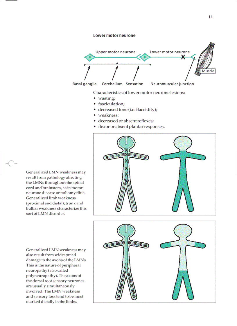 image for page Essential Neurology 4th Ed