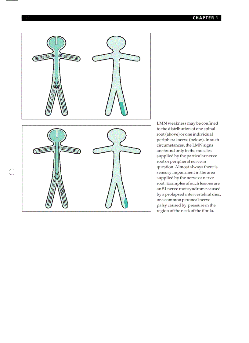 image for page Essential Neurology 4th Ed
