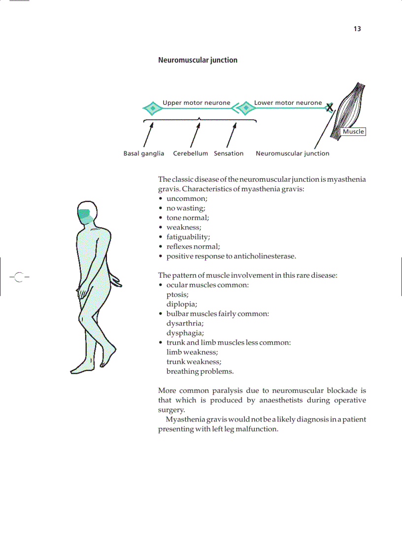 image for page Essential Neurology 4th Ed