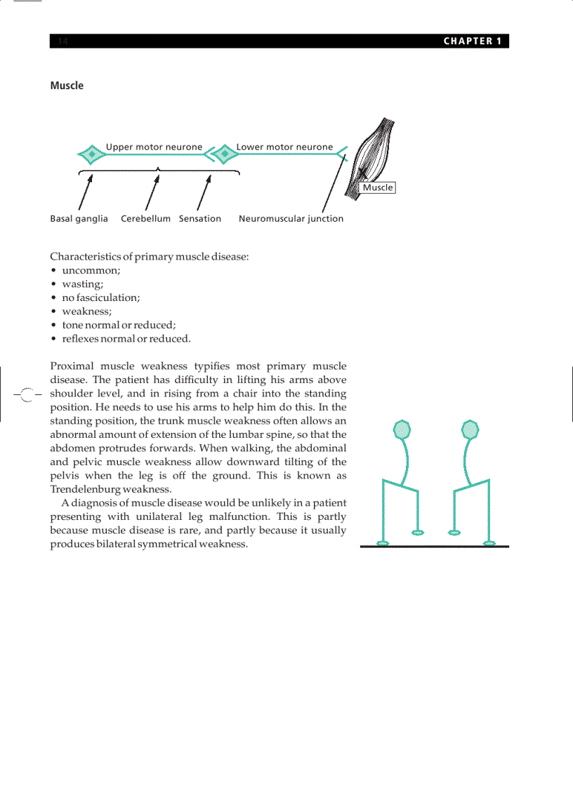 image for page Essential Neurology 4th Ed