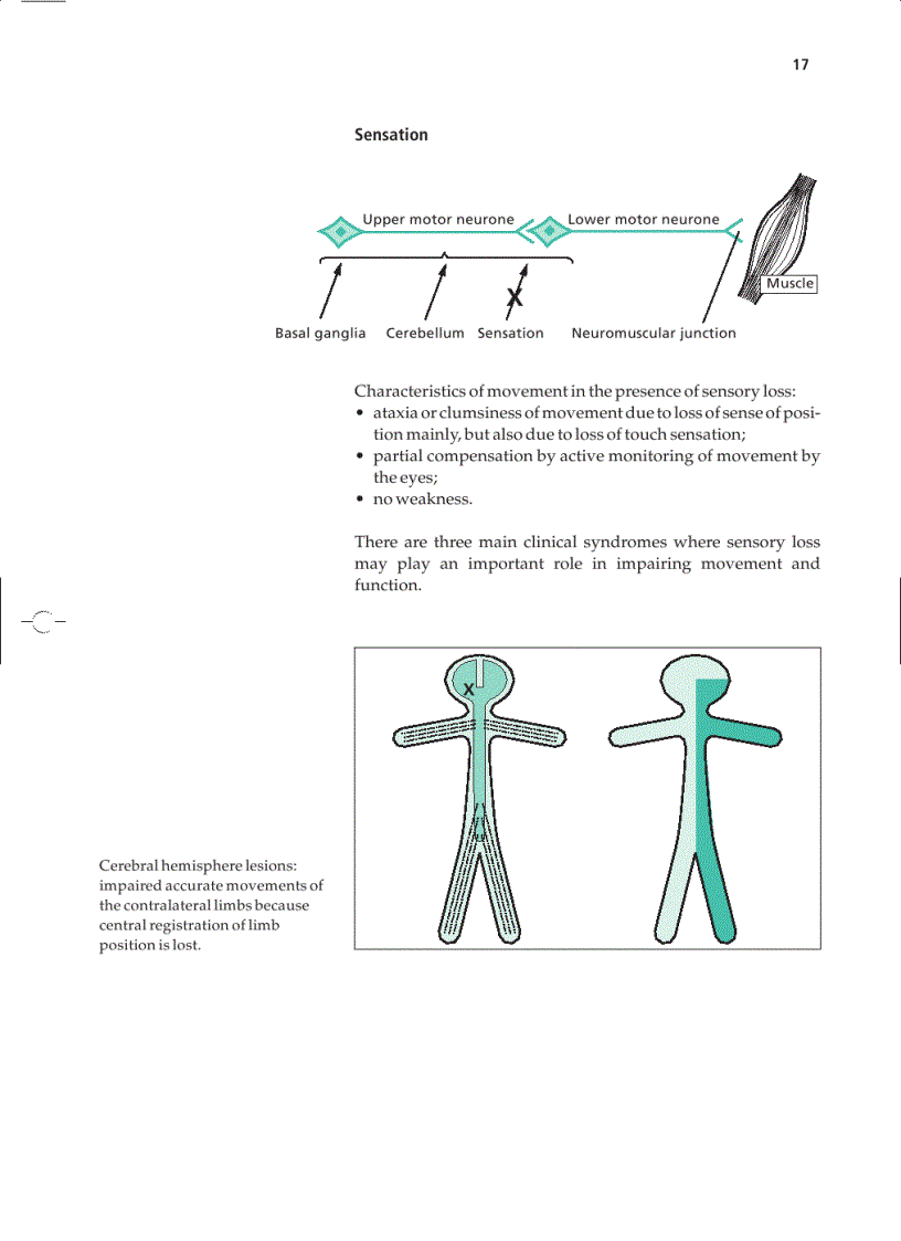 image for page Essential Neurology 4th Ed
