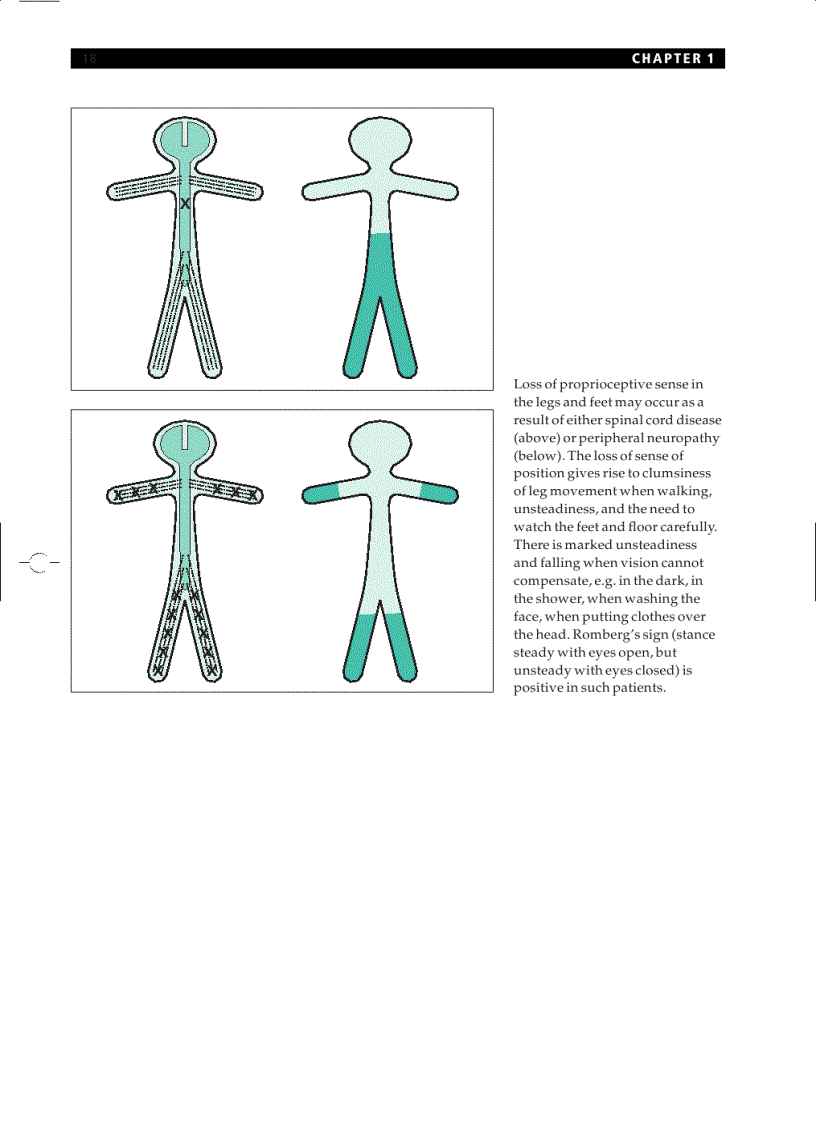 image for page Essential Neurology 4th Ed