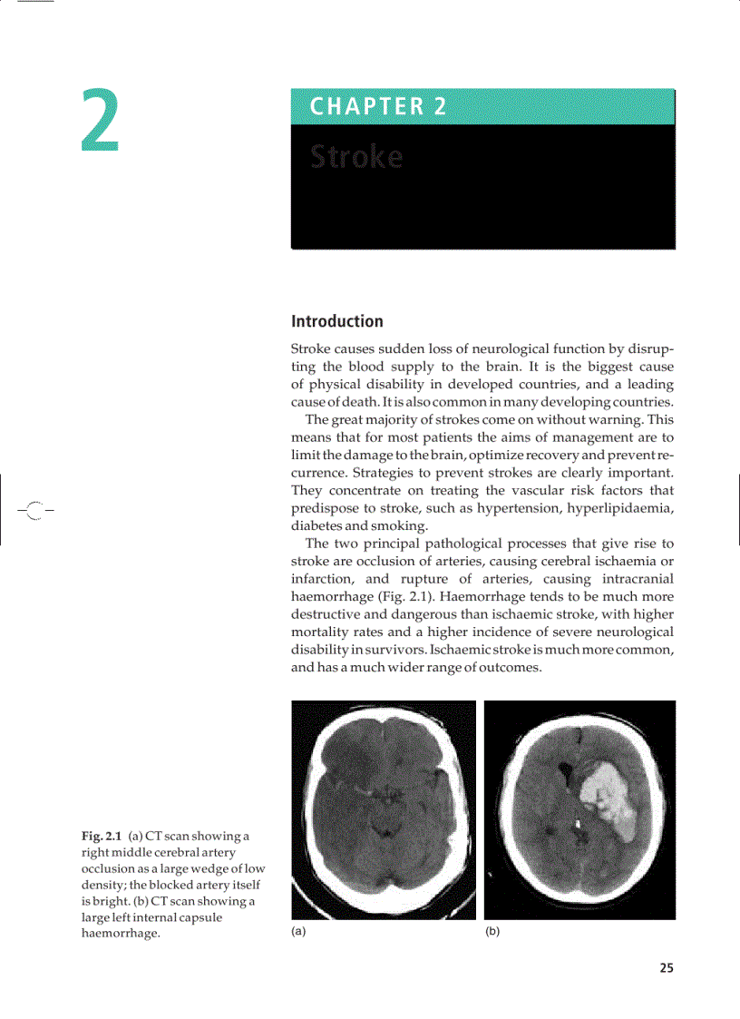 image for page Essential Neurology 4th Ed