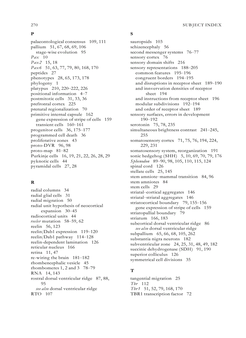 image for page Evolutionary Developmental Biology of the Cerebral Cortex