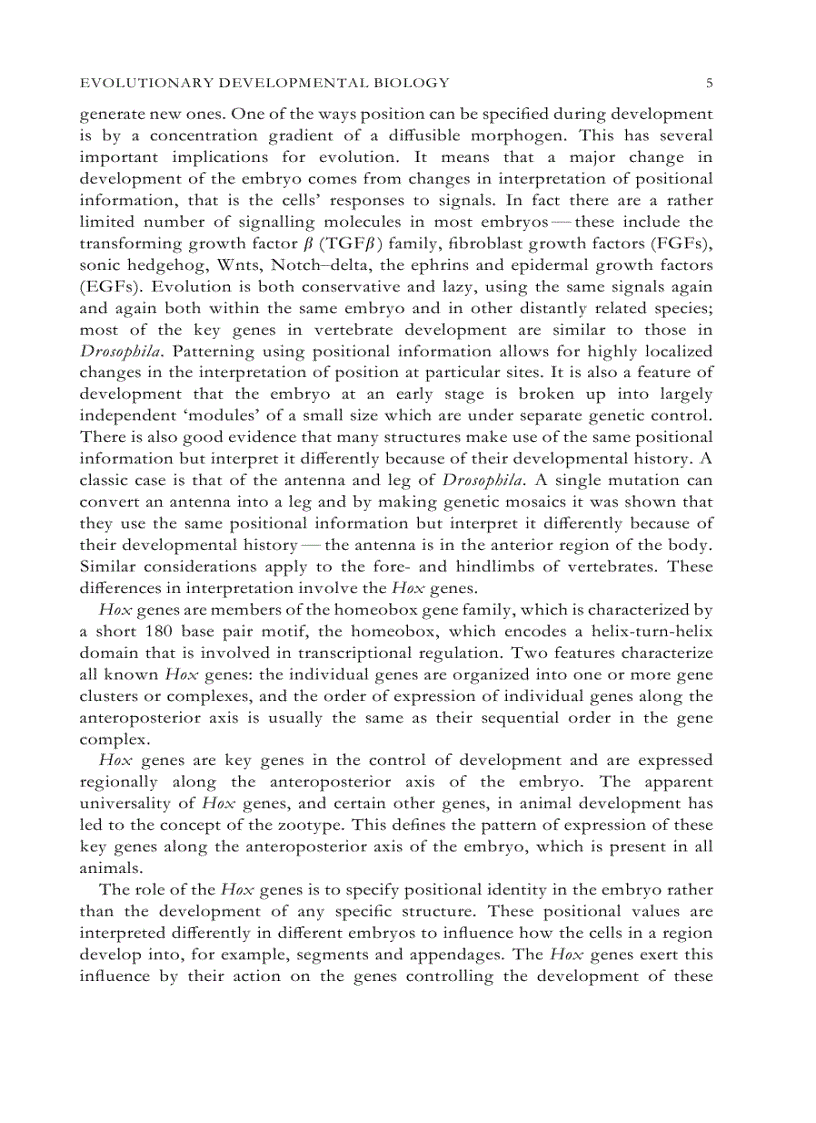 image for page Evolutionary Developmental Biology of the Cerebral Cortex