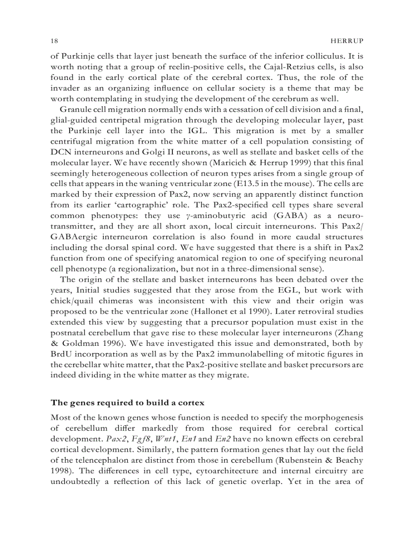 image for page Evolutionary Developmental Biology of the Cerebral Cortex