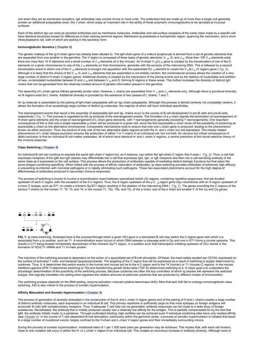 image for page Fundamental Immunology 5th ed