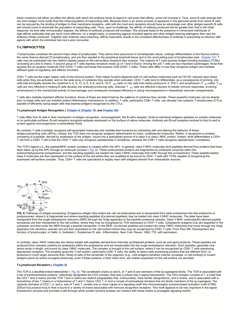 image for page Fundamental Immunology 5th ed