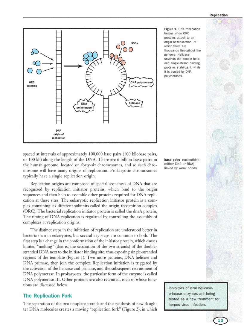 image for page Genetics Macmillan Science Library Vol 4 R Z