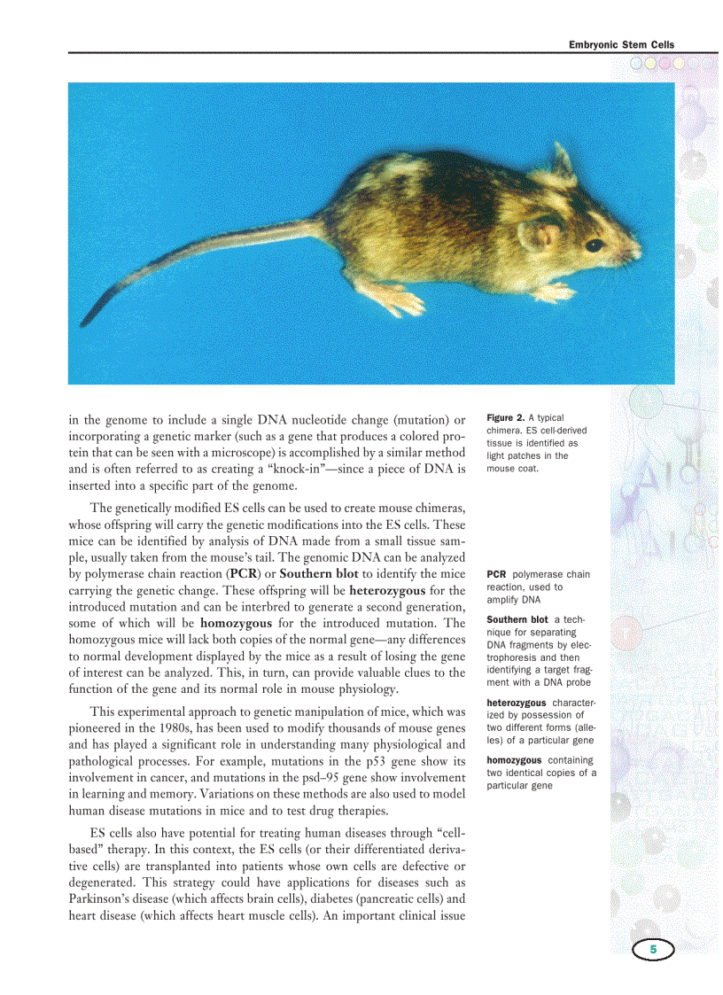 image for page Genetics Vol 2 E I Macmillan Science Library
