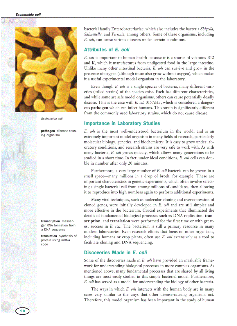 image for page Genetics Vol 2 E I Macmillan Science Library