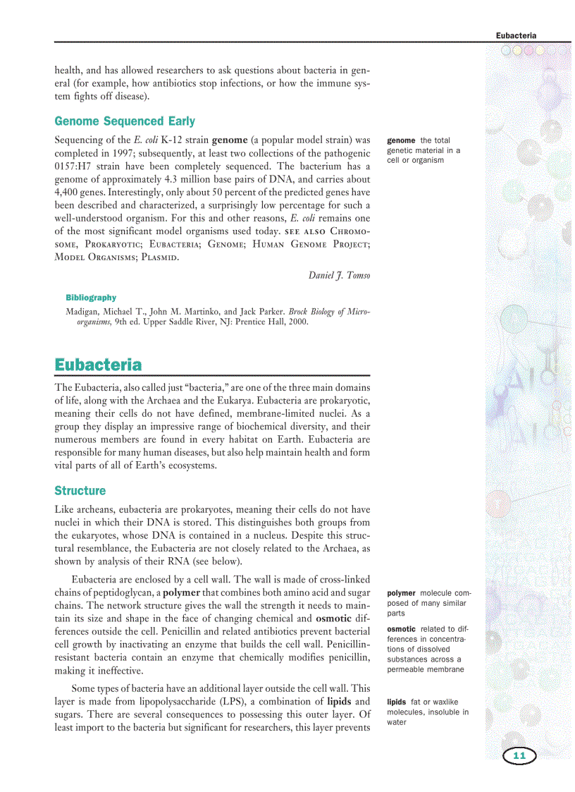 image for page Genetics Vol 2 E I Macmillan Science Library
