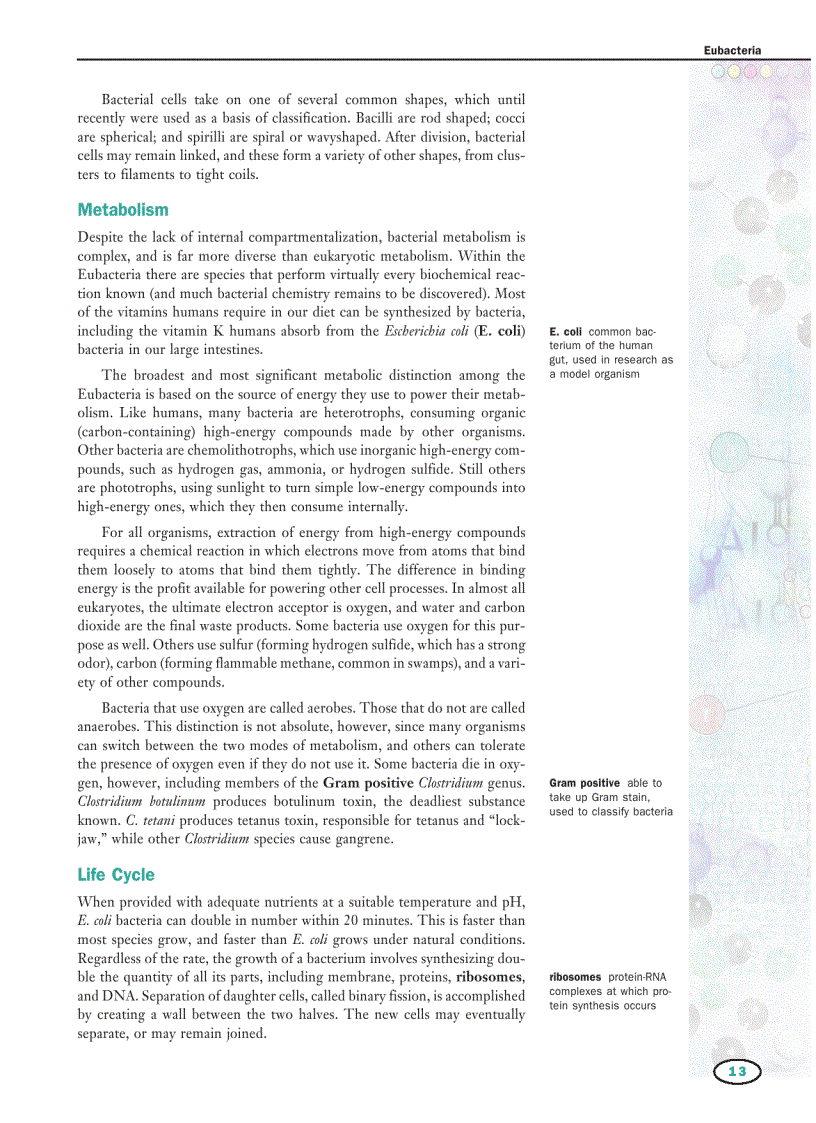 image for page Genetics Vol 2 E I Macmillan Science Library