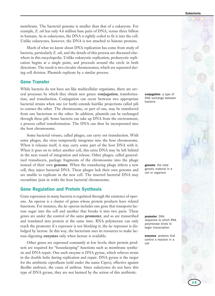 image for page Genetics Vol 2 E I Macmillan Science Library