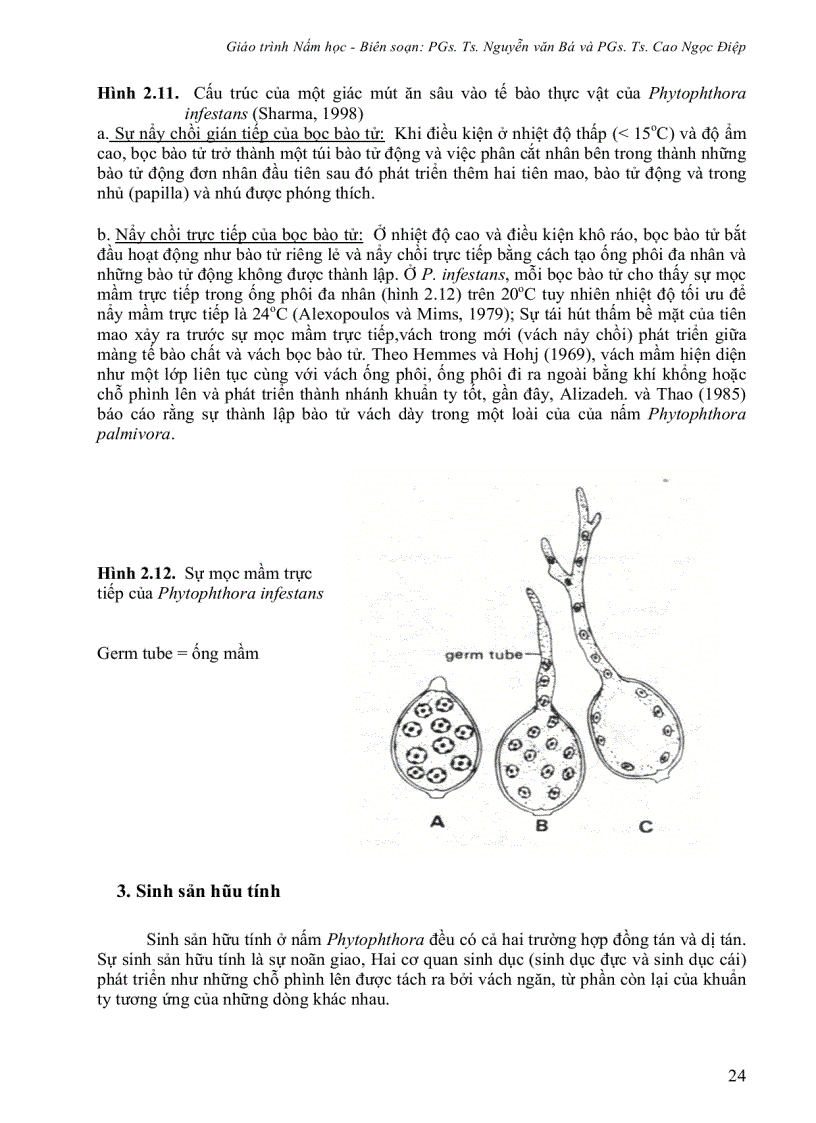 image for page Giáo Trình Nấm Học