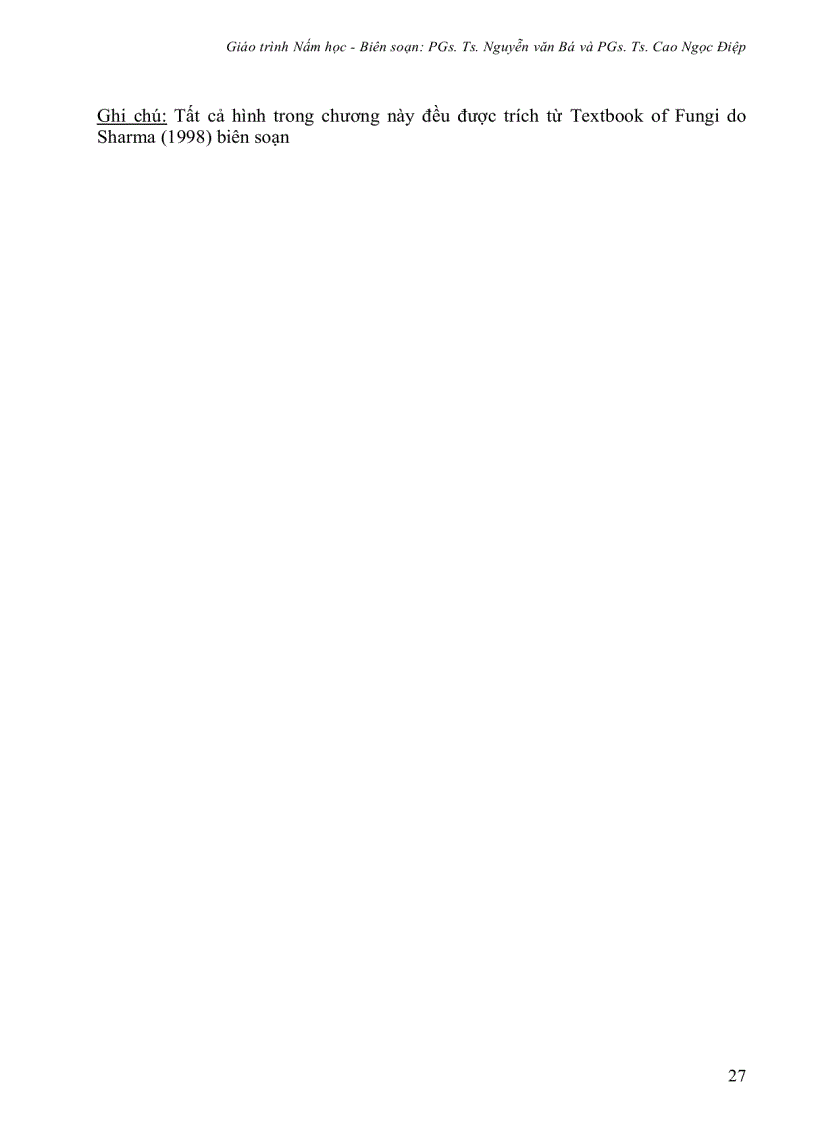 image for page Giáo Trình Nấm Học
