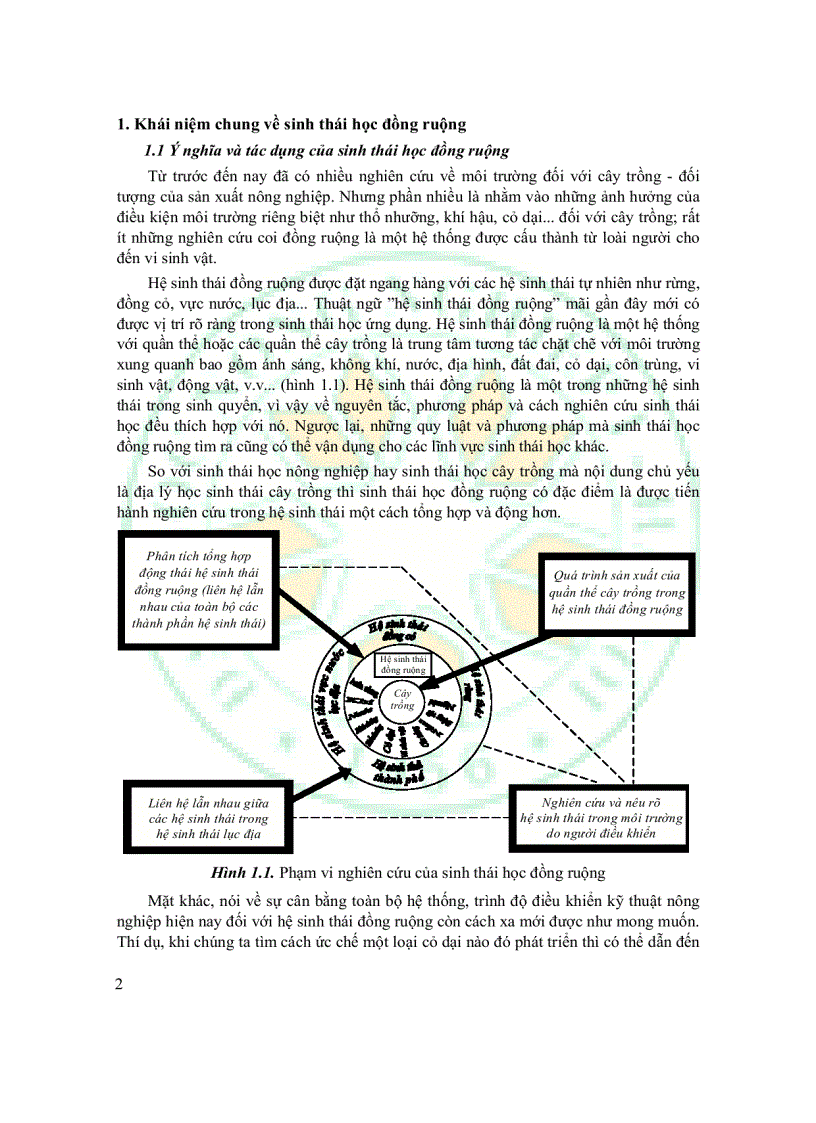 image for page Giáo Trình Sinh Thái Học