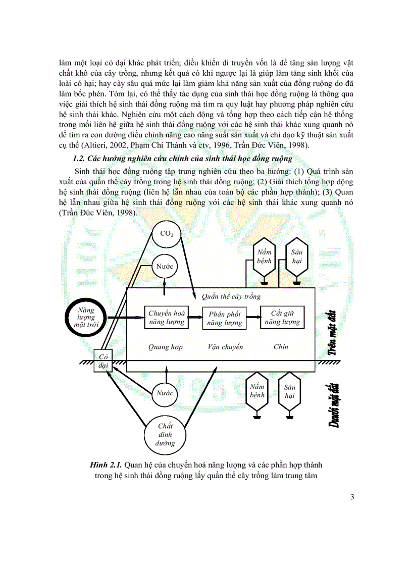 image for page Giáo Trình Sinh Thái Học